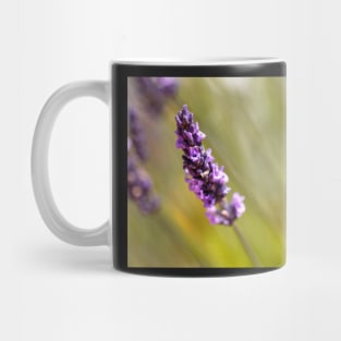 Lavender on a summer day Mug